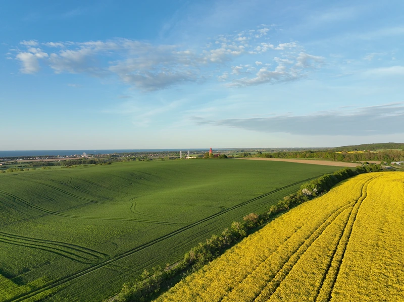 Luftaufnahme: grüne Felder und ein gelbes Rapsfeld, am Horizont das Meer