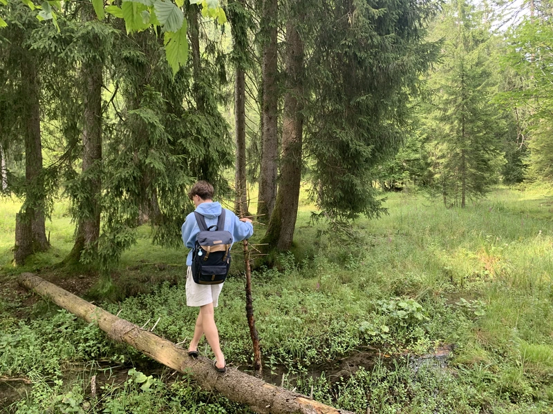 Luis balanciert mit Rucksack über einen Baumstamm im Wald