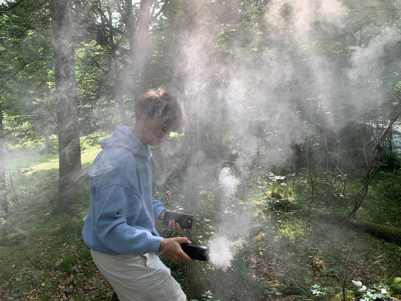 Luis filmt mit Rauch in einem sonnigen Wald